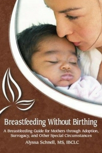Breastfeeding without Birthing Alyssa Schnell happyhumanpacifier.com