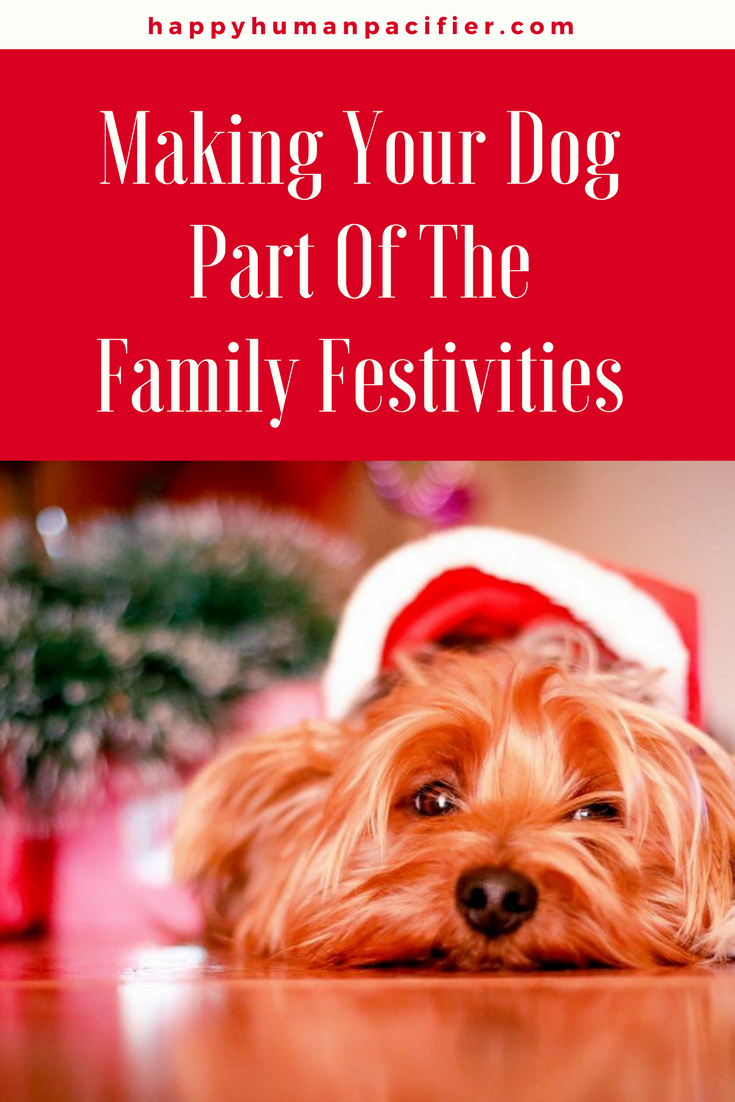 Are you planning to include your dog in your festivities? | dogsandtheholidays |