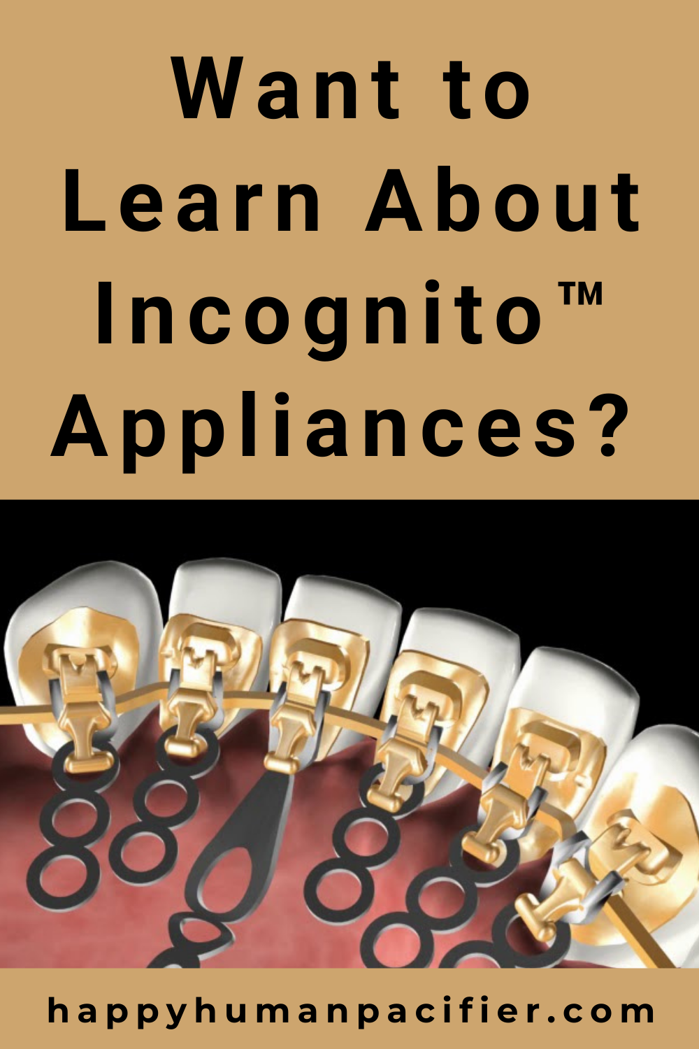 Want to Learn About Incognito™ Appliances?  Read on | Incognito™ Appliances pin