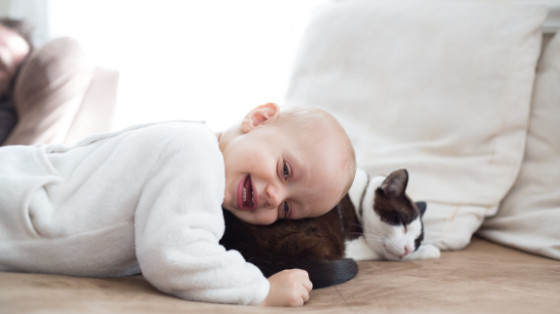 How To Introduce Your Cat To Your New Baby