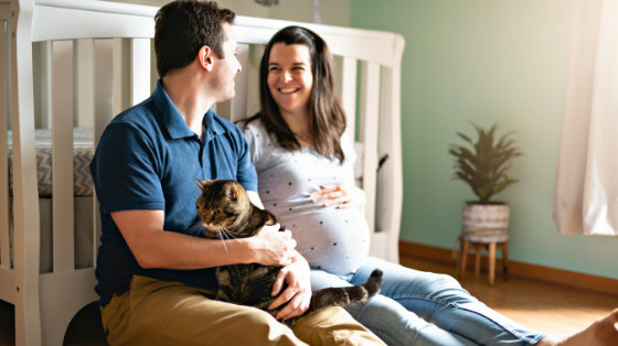 Preparing Your Cat for Baby's Arrival